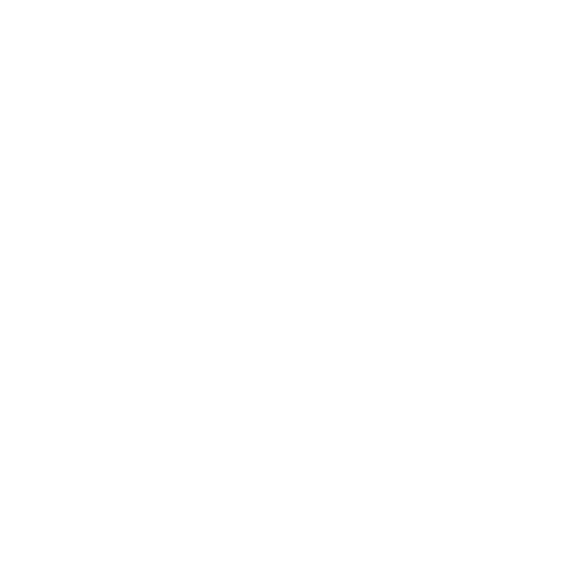 PRÉSTAMO DE CARRICOCHES